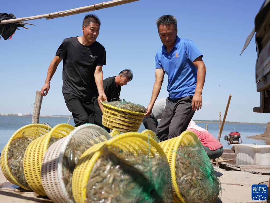 皇冠 注册